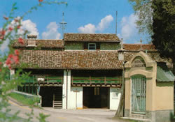 Le Grezze